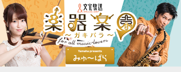 楽器楽園～ガキパラ～