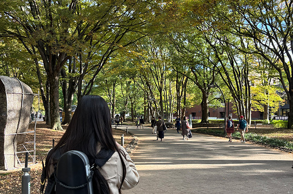 大好きな通学路、上野公園