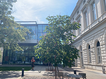 ウィーン国立音大の図書館