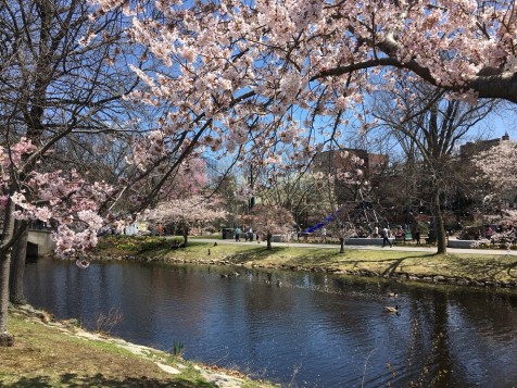 垣本 ボストン市内で発見した日本を思い出させる風景_2